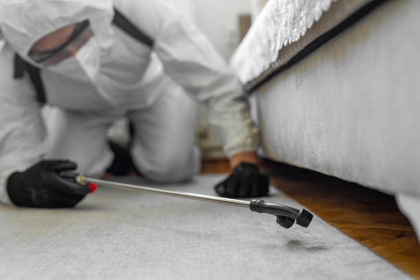 Professional Bed Bug Control technician working in Carencro, LA